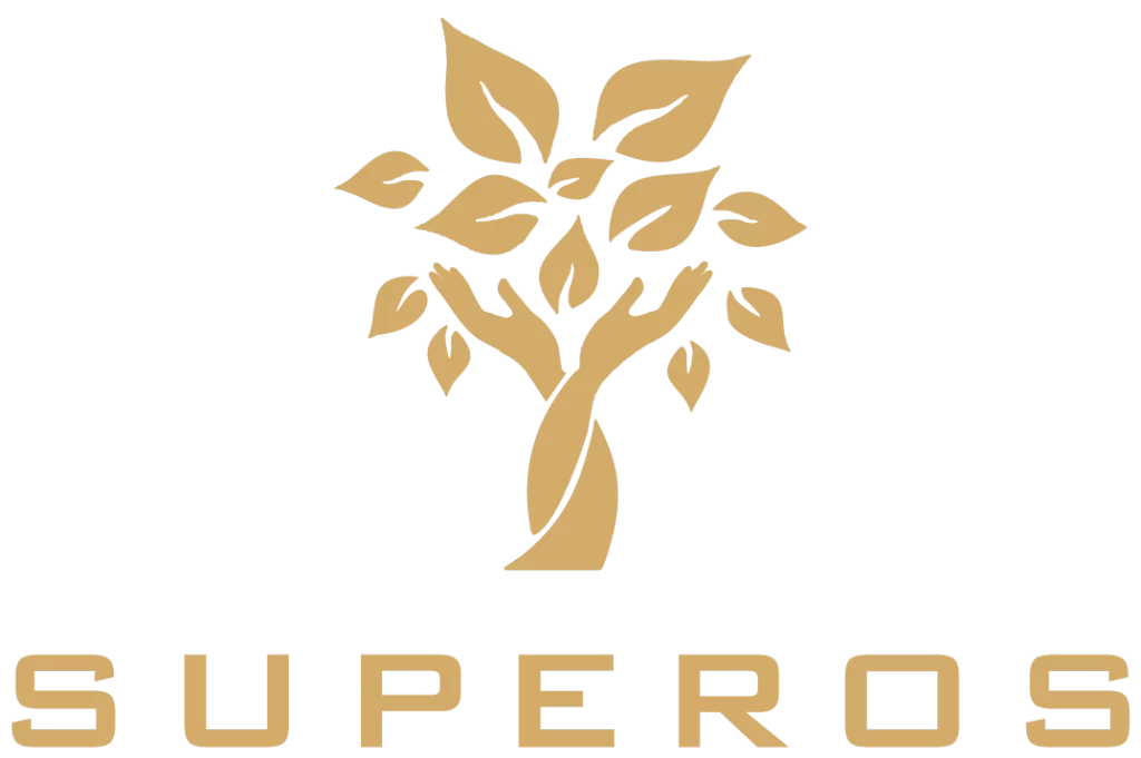 Bled realestate – by Superos